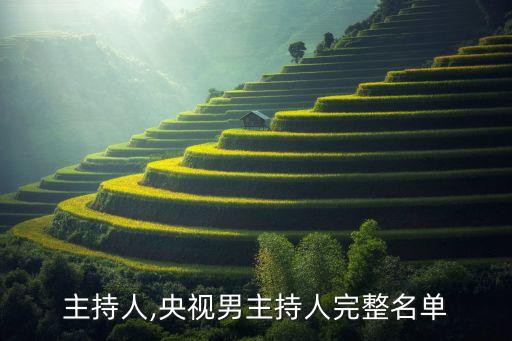 主持人,央视男主持人完整名单