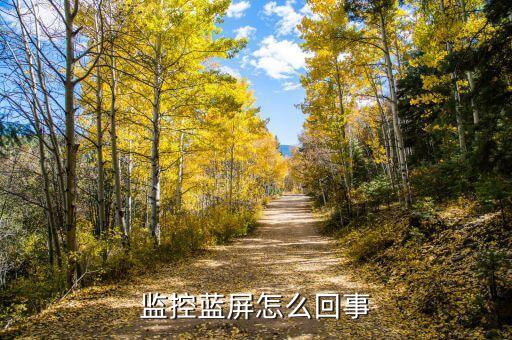 监控蓝屏怎么回事