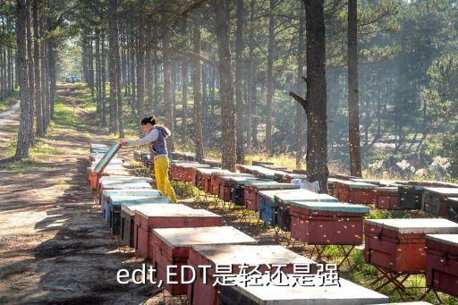 香水edt,EDT是轻还是强?