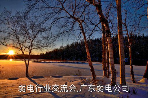 弱电行业交流会,广东弱电公司