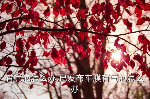 车膜有气泡怎么办,已发布车膜有气泡怎么办