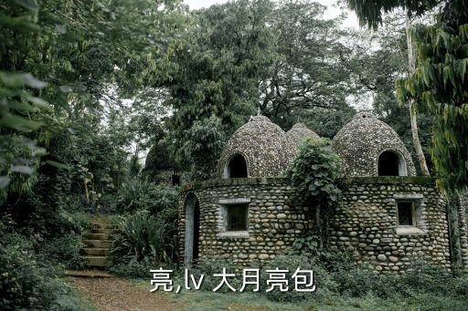 大月亮,lv 大月亮包