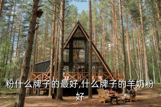羊奶粉什么牌子的最好,什么牌子的羊奶粉好?