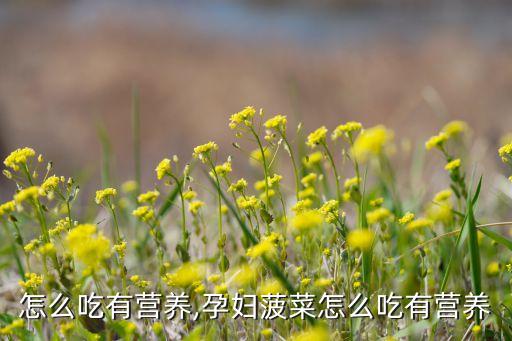 怎么吃有营养,孕妇菠菜怎么吃有营养