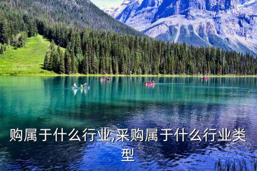 做代购属于什么行业,采购属于什么行业类型?