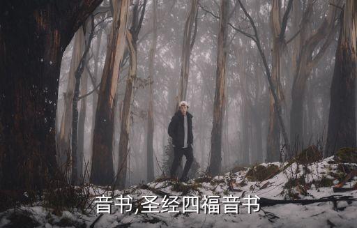 音书,圣经四福音书