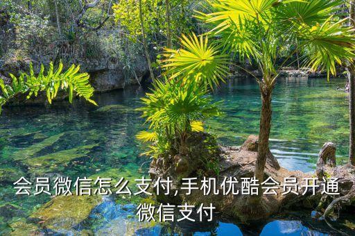 优酷会员微信怎么支付,手机优酷会员开通微信支付