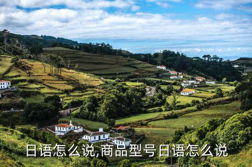 日语怎么说,商品型号日语怎么说