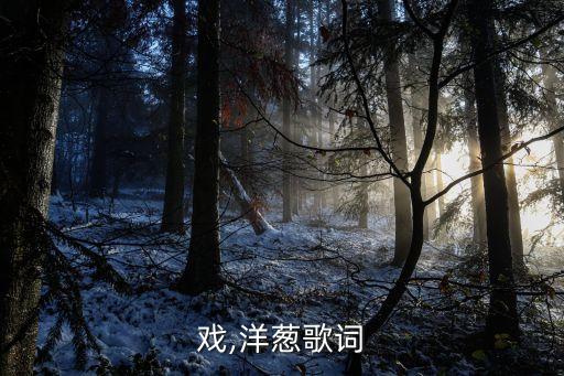 戏,洋葱歌词