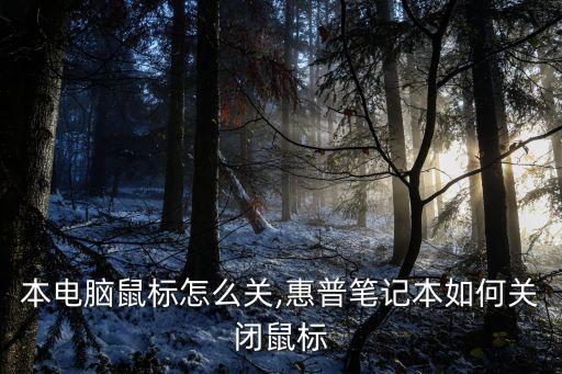 笔记本电脑鼠标怎么关,惠普笔记本如何关闭鼠标?