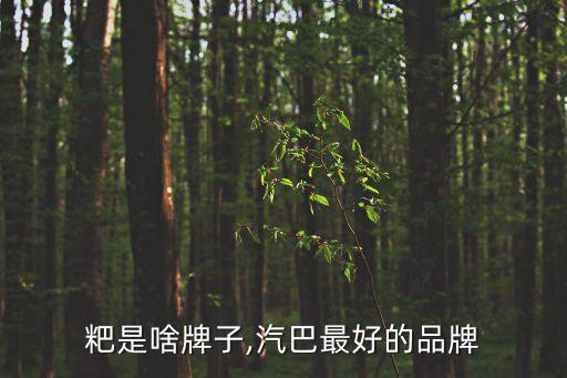 好糍粑是啥牌子,汽巴最好的品牌