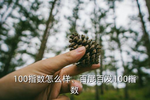 100指数怎么样、百度百发100指数