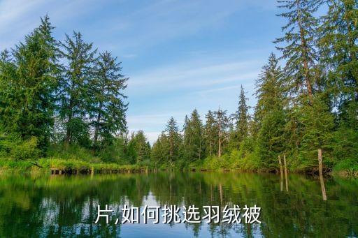 片,如何挑选羽绒被