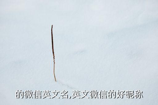 的微信英文名,英文微信的好昵称