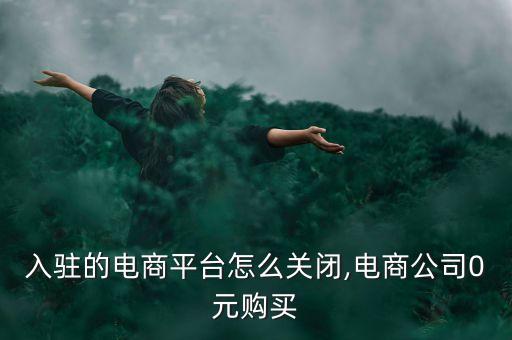 入驻的电商平台怎么关闭,电商公司0元购买