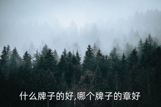 班章什么牌子的好,哪个牌子的章好?