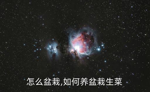 怎么盆栽,如何养盆栽生菜