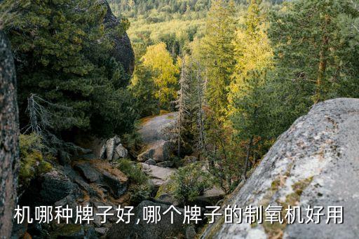 机哪种牌子好,哪个牌子的制氧机好用