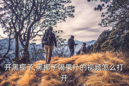 怎么开黑椰子,黑椰子喝果汁的视频怎么打开