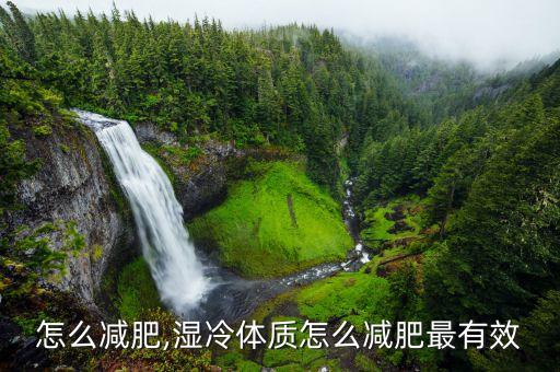 怎么减肥,湿冷体质怎么减肥最有效