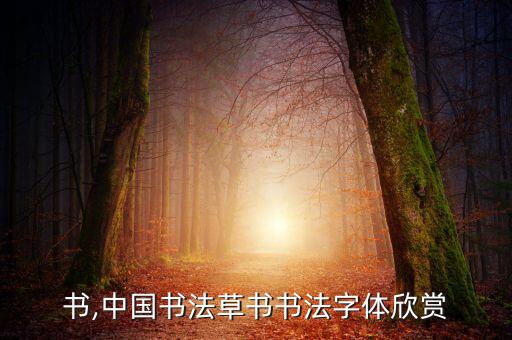汉草书,中国书法草书书法字体欣赏
