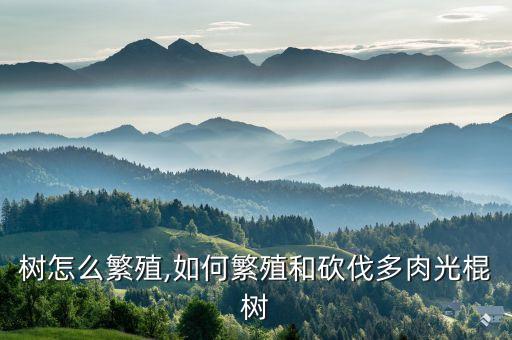 树怎么繁殖,如何繁殖和砍伐多肉光棍树
