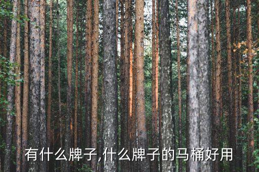 有什么牌子,什么牌子的马桶好用