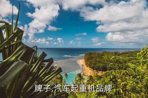 牌子,汽车起重机品牌