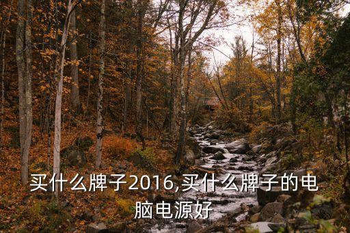 买什么牌子2016,买什么牌子的电脑电源好