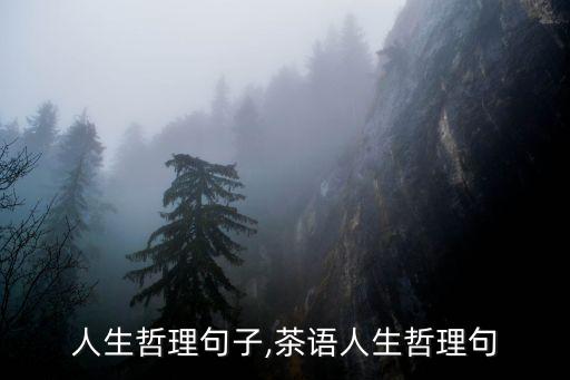 茶悟人生哲理句子,茶语人生哲理句