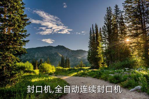 封口机,全自动连续封口机