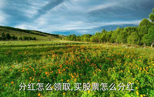 股票分红怎么领取,买股票怎么分红?