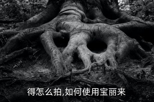 得怎么拍,如何使用宝丽来