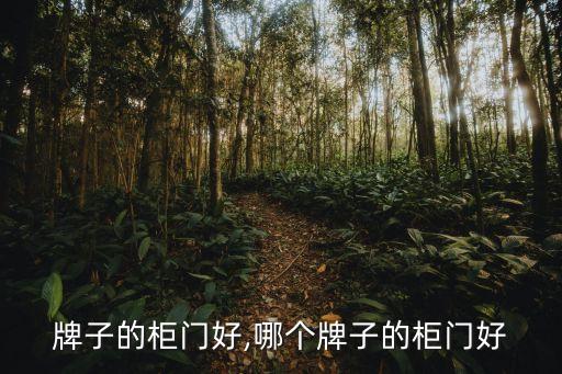 什么牌子的柜门好,哪个牌子的柜门好?