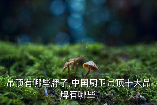 吊顶有哪些牌子,中国厨卫吊顶十大品牌有哪些