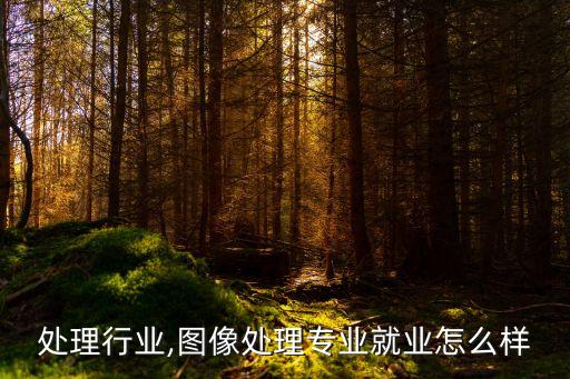 图形处理行业,图像处理专业就业怎么样?