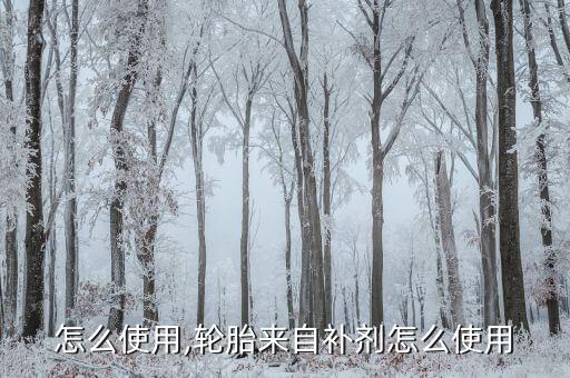 补剂怎么使用,轮胎来自补剂怎么使用