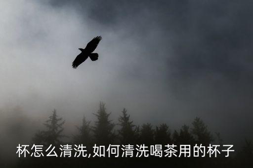 杯怎么清洗,如何清洗喝茶用的杯子