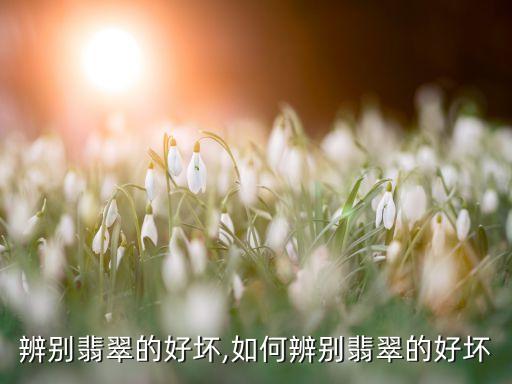 怎么辨别翡翠的好坏,如何辨别翡翠的好坏?