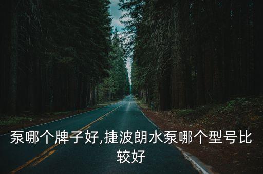 泵哪个牌子好,捷波朗水泵哪个型号比较好