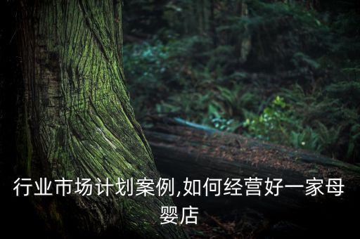 母婴行业市场计划案例,如何经营好一家母婴店