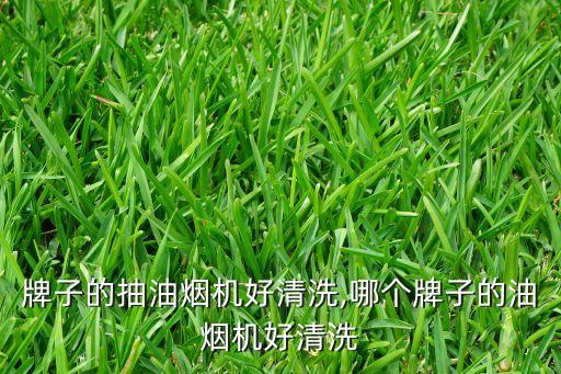 什么牌子的抽油烟机好清洗,哪个牌子的油烟机好清洗?