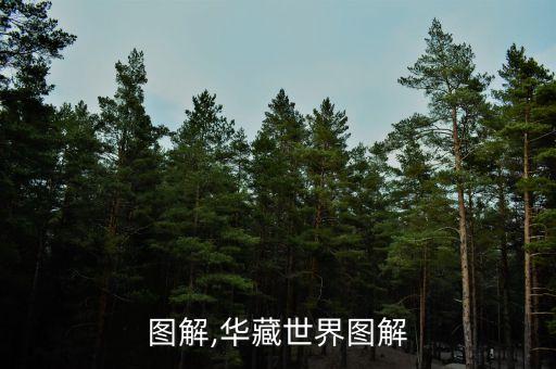 图解,华藏世界图解