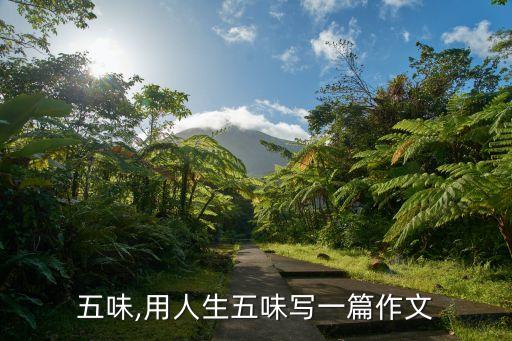 人生五味,用人生五味写一篇作文
