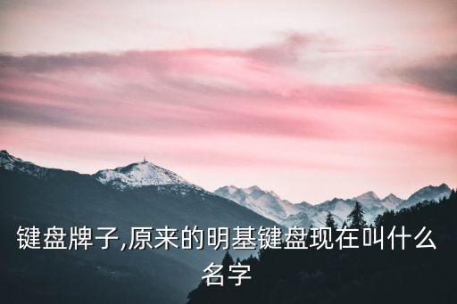 明基键盘牌子,原来的明基键盘现在叫什么名字?