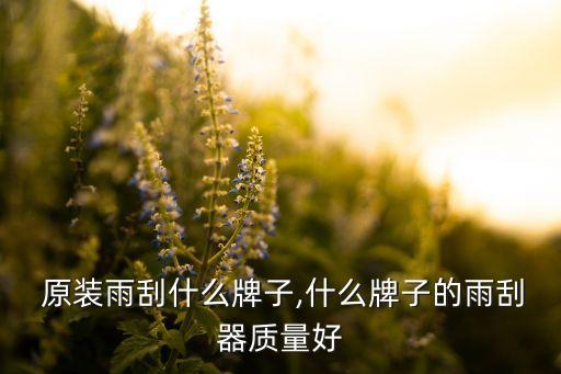丰田 原装雨刮什么牌子,什么牌子的雨刮器质量好?