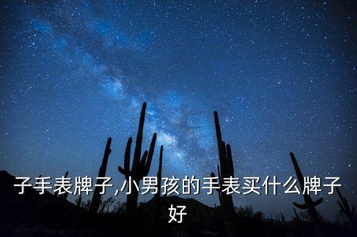 子手表牌子,小男孩的手表买什么牌子好