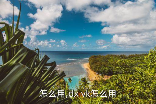 vk怎么用,dx vk怎么用