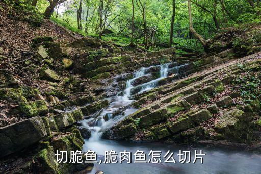 怎么切脆鱼,脆肉鱼怎么切片?