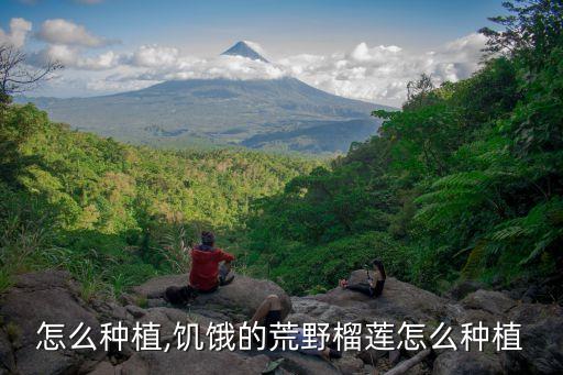 怎么种植,饥饿的荒野榴莲怎么种植